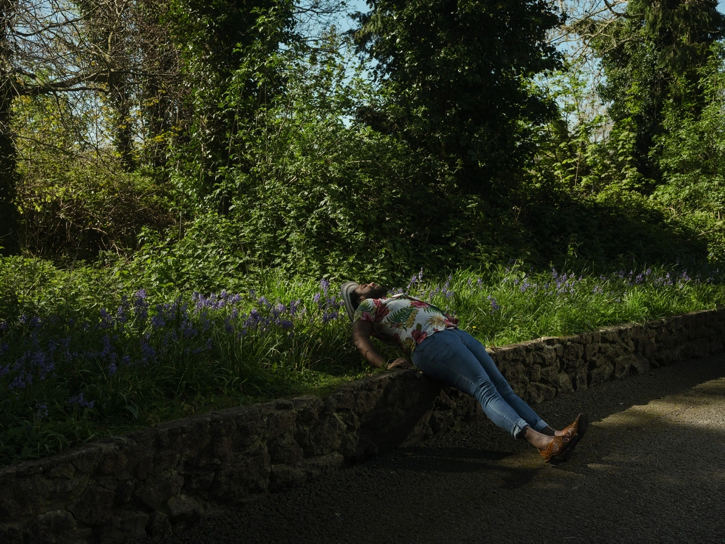 A man in a floral shirt reclining on a low stone wall beneath trees and bluebells